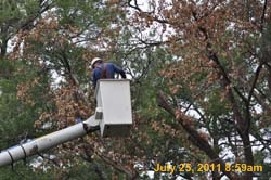 Entergy 023